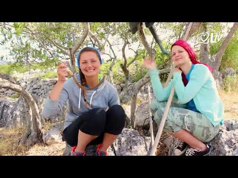 Pregled dana - SKAC: 20 godina projekta "Modrave"