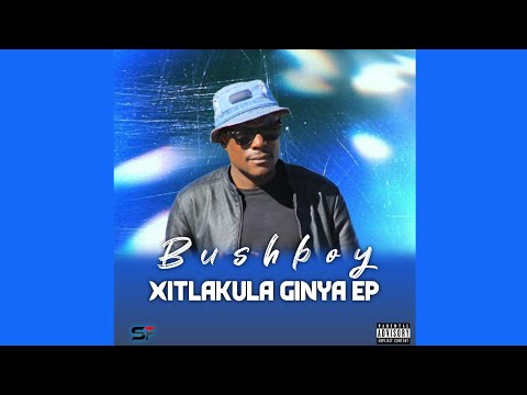 BushBoy - Makhwaya (Official Audio)
