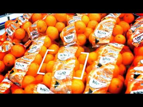 Kipa yurt dışı tanıtım filmi