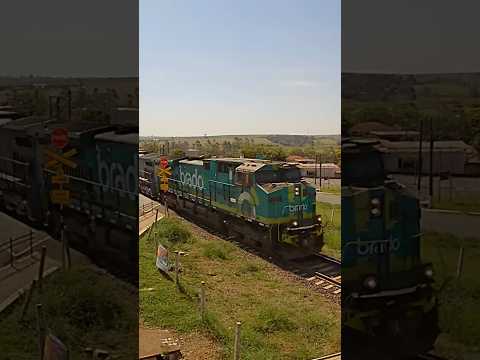 Locomotiva brado Santa Ernestina sp #train #shorts