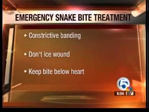6 venomous snakes live in Fla.