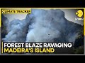 EU sends planes to battle fire in Madeira | WION Climate Tracker
