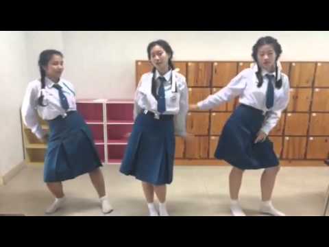 ToA cover AoA Shorthair