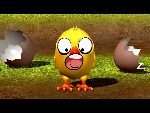 El Pollito Pío 3D Canciones Gritando | La Granja de Zenón | Versión con gritos!