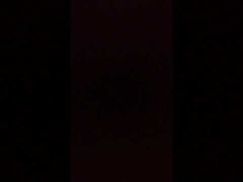 The Shane Duggan Show episode 16