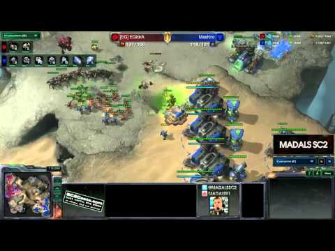 EGIdrA v Mashiro - ZvT