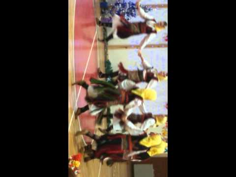 Borcanski opanak-Vlasko kolo