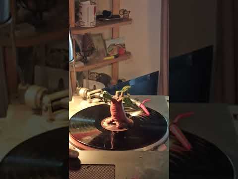 URBAN RITES   the Shanti-ites