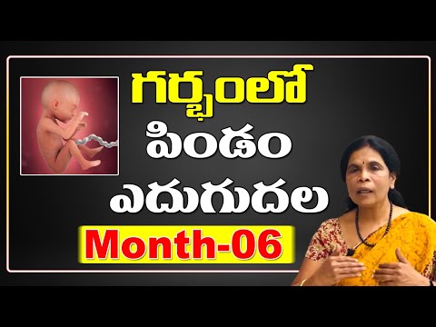 గర్భంలో పిండం ఎదుగుదల - dr rama devi in telugu - month - 06 - baby growth in womb - fetus development