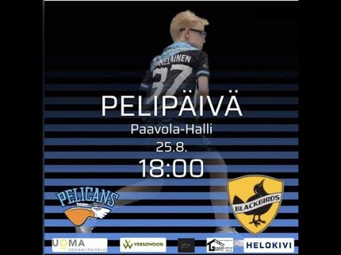 Pelicans SB - Blackbirds