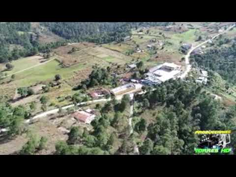 Felix Chumil y su marimba orquesta 6x8