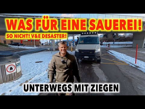 #1330 WAS FÜR SCHWEINE! WIE KANN MAN NUR!? V&E Desaster | Zu Besuch bei Ziegen, Hühnern & Brownie
