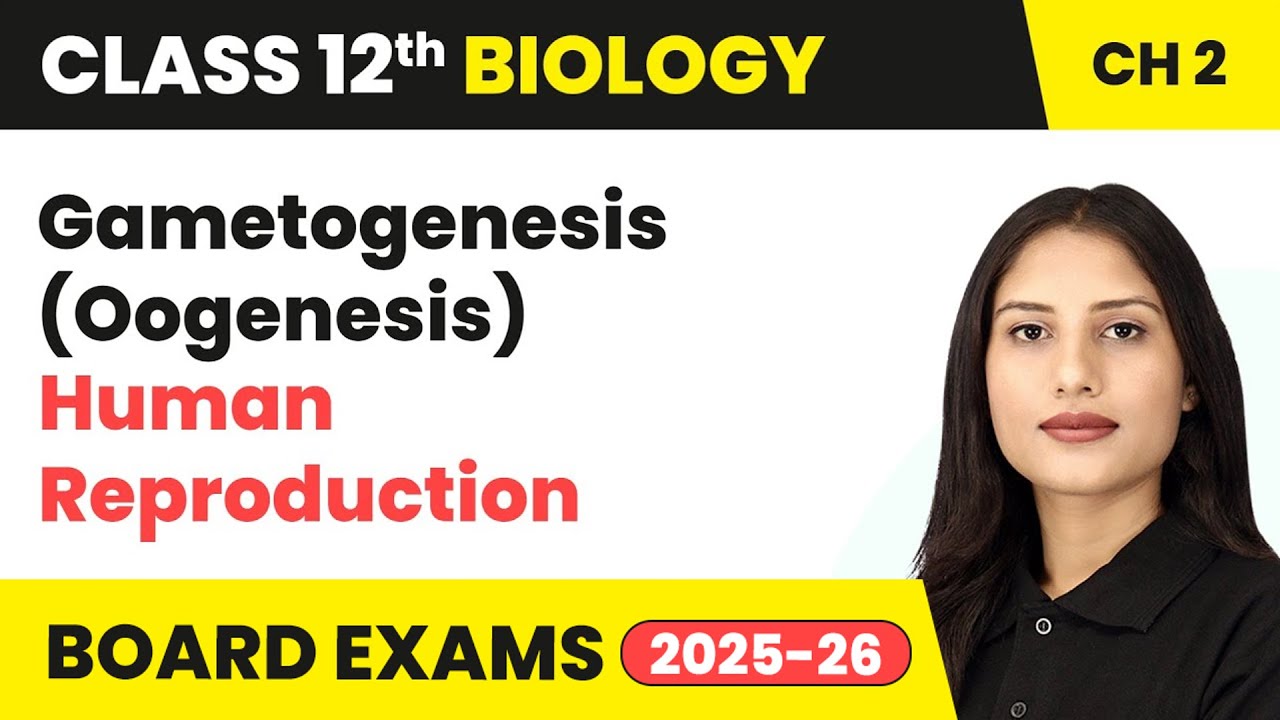 Gametogenesis (Oogenesis) - Human Reproduction | Class 12 Biology Chapter 2 | CBSE 2024-25