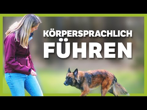 KÖRPERSPRACHE ▶︎ Wie du deinen Hund richtig führst (einfach und präzise)