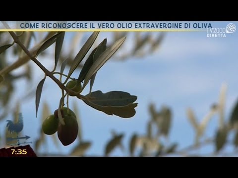 Se è possibile rimanere incinta quando prostatite cronica del marito Adenoma prostatico Sytin
