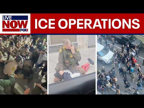 Video | Watch: Seven days of ICE