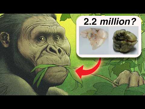 How proteins are revealing our deep evolution