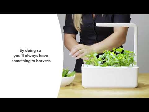 Click And Grow Click &amp; Grow Smart Garden papildymas Peppermint 3vnt video