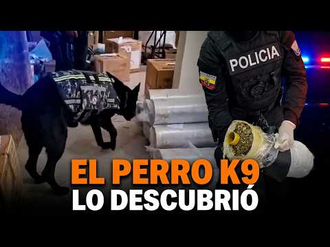 Parecía una simple encomienda… pero escondía 179 KILOS de hierbabuena