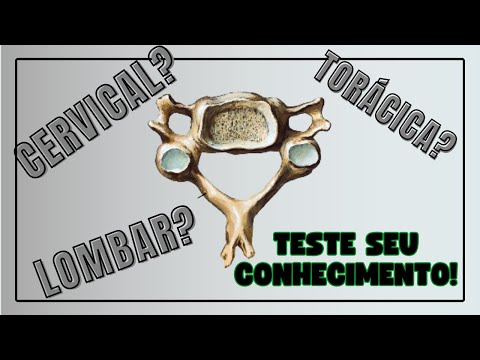 COLUNA VERTEBRAL - Corpo Quiz