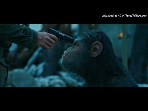 [ZY:RP][IC] Kev Loc - Warning Shot