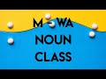 M/WA NOUN CLASS...