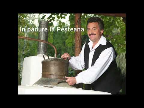 Petrică Mâțu Stoian - În pădure la Peșteana ( Varianta Originală )