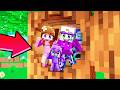 Dash Survives 100 Days inside Tree in Minecraft…