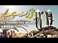 Ali Pasand Hai Mujhe New Manqabat Moula Ali A S Aarif Aarifee Syedrazaabbaszaidi