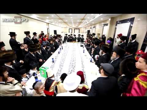 Purim 5777 With Kosov Viznitz Rebbe