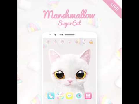 Marshmallow Cat Live theme Video