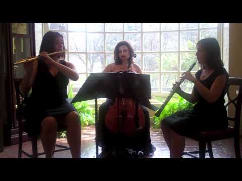 Promotional video thumbnail 1 for Arev Music Entertainment