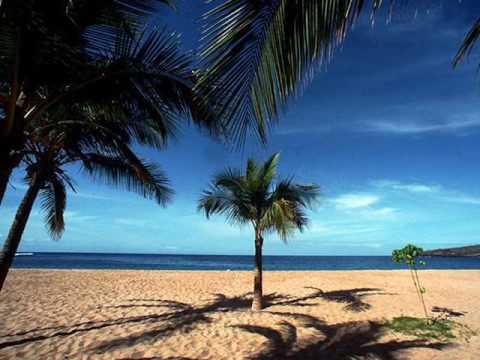 Dj Memo vs.Lil john-What What Remix [ www.MUSIC-SOUNDZ.com ]