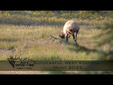 Successful 2025 West Kootenay Elk Hunt | Legal 6-Point Bull Harvested in BC Wilderness #elk#hunting