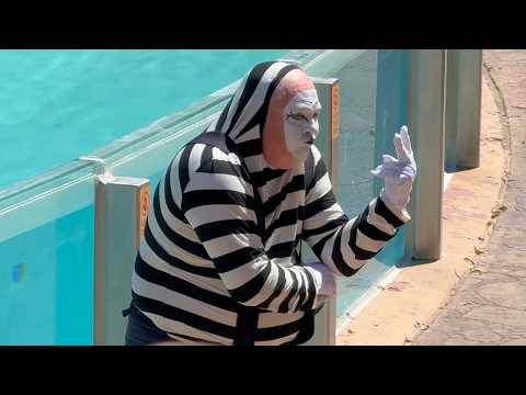 Feeling Off Today? Tom the Mime will make you smile