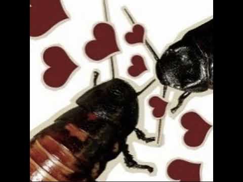 I remember you - Emily Youcis