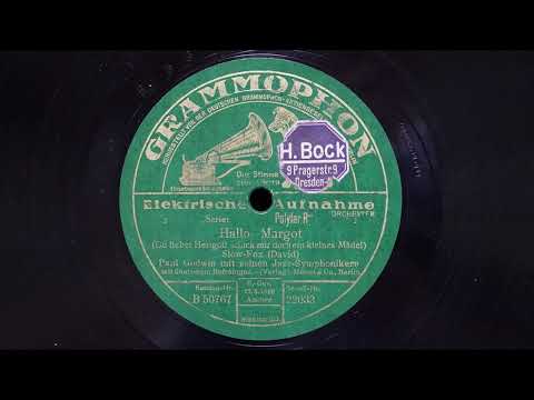 Hallo Margot - Paul Godwin Jazz-Symphoniker (78 RPM Schellackplatte)