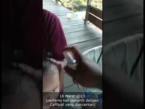Pengalaman Merawat Kulit Bayi Saat Cacar Air