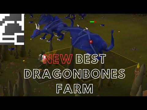 Dragon Bones Melvor