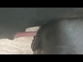 Buffalo Bull Meeting Ke Liye Teyar
