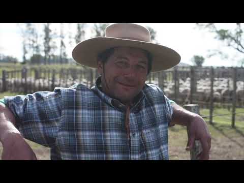 De tropas y ferias, ¡por los pagos de Carumbé!