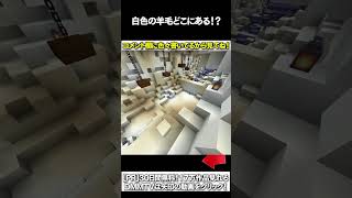 【マイクラ】白色の羊毛どこにあある！？ #マイクラ #マインクラフト #逃走中  #shorts