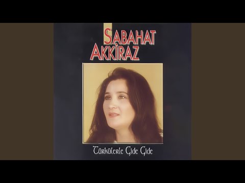 Video Yükleniyor...