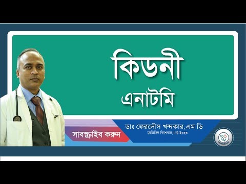 কিডনি:: স্বাভাবিক গঠন।