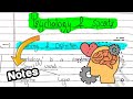 Psychology And Sports Notes Class 11 Ch 9 Physical Education Edustudy Point