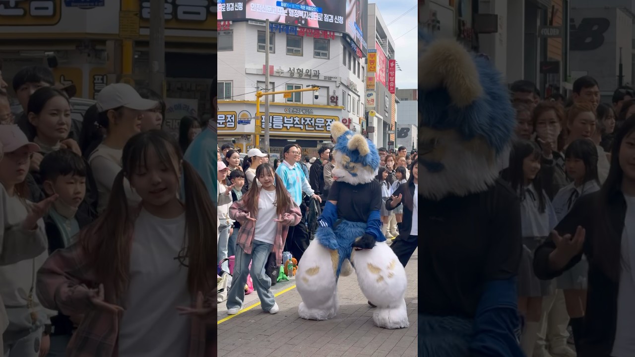 실룩실룩 노비티다오🇧🇷 NO BATIDÃO #brazil #춤추는소하 #춤추는곰돌 #춤추는곰돌의랜덤댄스 #AFSTARZ #MUSIC #DANCE  #댄스 #키즈크리에이터