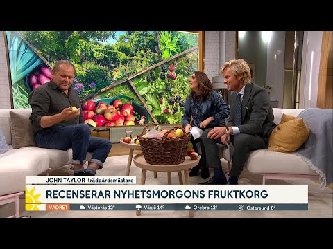 Trädgårdsmästaren om hur du enkelt kan odla hemma | Nyhetsmorgon | TV4 & TV4 Play