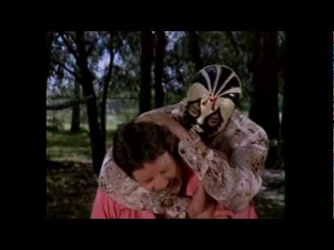 Tommy Lee's Fight Song by Gustavo Ansaldi