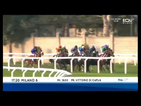 2022.10.16 Premio Vittorio di Capua (ITA) - Bounce The Blues