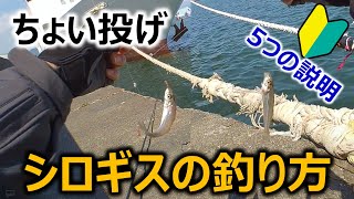 【初心者向け】シロギスの釣り方 ちょい投げ～5つの説明～